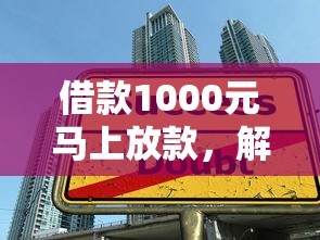 借款1000元马上放款，解答五家2025最新学生能贷款的平台