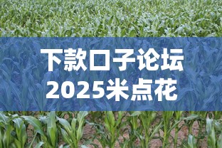 下款口子论坛2025米点花，五大2025最新资产包口子