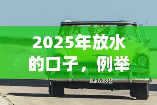 2025年放水的口子，例举5个2025最新靠谱的车抵押贷款平台