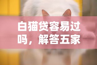 白猫贷容易过吗，解答五家2025最新大数据不好平台可以借钱