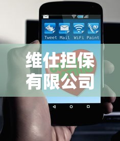 维仕担保有限公司是哪家贷款：维仕担保合作哪些贷款平台