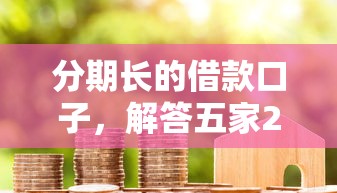 分期长的借款口子，解答五家2025最新黑花户下款口子