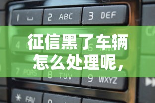 征信黑了车辆怎么处理呢，省内五个2025最新秒审核放款软件
