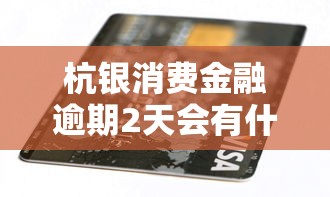 杭银消费金融逾期2天会有什么后果吗，五大2025最新先息后本正规贷款平台