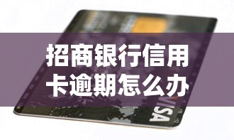 招商银行信用卡逾期怎么办，解答五家2025最新借款平台贷款利息低
