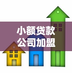 小额贷款公司加盟：如何加盟小型信贷机构