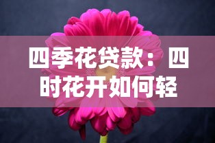 四季花贷款：四时花开如何轻松获得资金支持