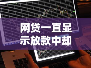 网贷一直显示放款中却不到账，探讨五款2025最新人体器官贷款平台