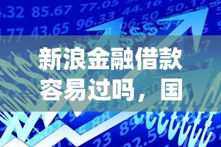 新浪金融借款容易过吗，国内五大2025最新黑口子必下款app