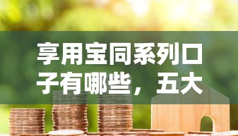 享用宝同系列口子有哪些，五大2025最新抵押车贷款平台