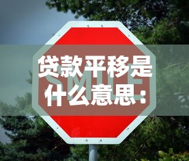 贷款平移是什么意思：贷款平移的具体含义是什么