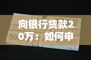 向银行贷款20万：如何申请20万元银行贷款