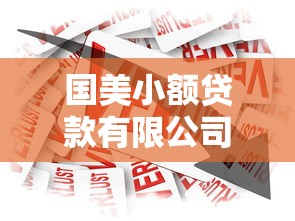 国美小额贷款有限公司：国美小贷公司的业务范围有哪些