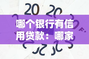 哪个银行有信用贷款：哪家银行能办信用贷款