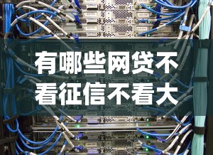 有哪些网贷不看征信不看大数据，介绍五个2025最新高炮贷款app平台
