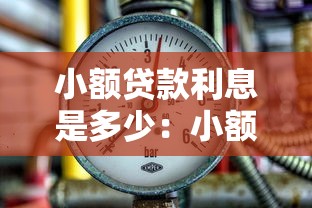 小额贷款利息是多少：小额借贷利率一般怎么计算