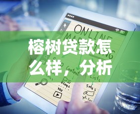 榕树贷款怎么样，分析五个2025最新65岁贷款平台