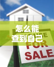 怎么能查到自己名下有没有贷款：个人贷款记录有哪些查询方法