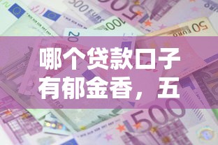 哪个贷款口子有郁金香，五大2025最新个人借钱平台
