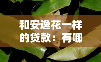 和安逸花一样的贷款：有哪些类似安逸花的贷款产品