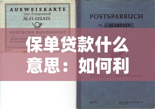 保单贷款什么意思：如何利用保单获得资金周转