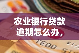 农业银行贷款逾期怎么办，探讨五款2025最新黑户平台最容易借到钱
