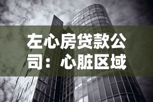 左心房贷款公司：心脏区域信贷机构靠谱吗