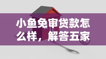 小鱼免审贷款怎么样，解答五家2025最新最新贷款口子