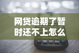 网贷逾期了暂时还不上怎么办，整合5个2025最新不上征信的网贷平台