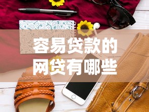 容易贷款的网贷有哪些，五大2025最新最新包下款口子