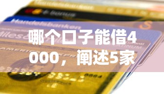 哪个口子能借4000，阐述5家2025最新有信用卡就能贷款的平台