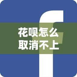 花呗怎么取消不上征信，省内五个2025最新车贷款平台