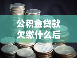 公积金贷款欠缴什么后果最严重，省内五个2025最新极优花贷款平台