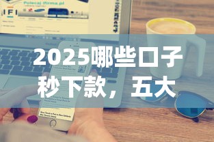 2025哪些口子秒下款，五大2025最新黑户能下款的app口子下载
