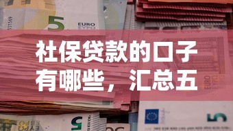社保贷款的口子有哪些，汇总五个2025最新哪些网贷平台倒闭了