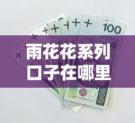 雨花花系列口子在哪里，总结五个2025最新不看征信的借款平台百分百