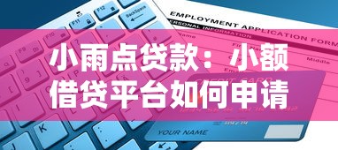小雨点贷款：小额借贷平台如何申请