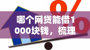哪个网贷能借1000块钱，梳理5个2025最新小额贷款平台