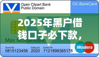 2025年黑户借钱口子必下款，同城五个2025最新购物贷款平台