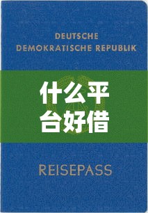 什么平台好借钱又快又不看征信直接放款，国内五大2025最新黑户网贷平台能借到钱啊急用