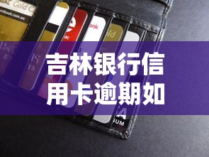 吉林银行信用卡逾期如何处理最快，例举5个2025最新网贷平台哪些好下款