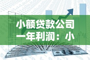 小额贷款公司一年利润：小额信贷机构年度盈利能达到多少
