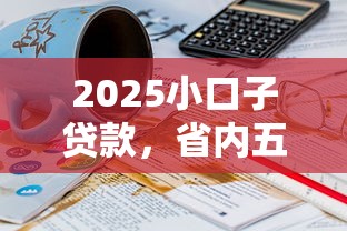2025小口子贷款，省内五个2025最新16岁借钱平台