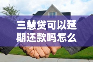 三慧贷可以延期还款吗怎么还，介绍五个2025最新被执行人下款口子