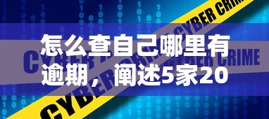 怎么查自己哪里有逾期，阐述5家2025最新征信不良的黑户在平台可以借款
