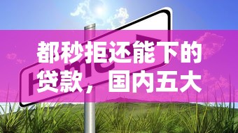 都秒拒还能下的贷款，国内五大2025最新如何投诉网贷平台