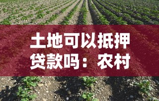 土地可以抵押贷款吗：农村土地如何办理抵押贷款
