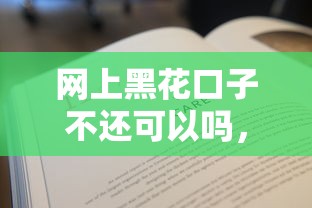 网上黑花口子不还可以吗，介绍五个2025最新社保贷款平台
