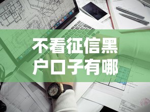 不看征信黑户口子有哪些，阐述5家2025最新黑贷款平台