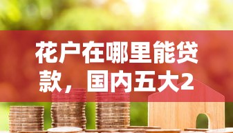 花户在哪里能贷款，国内五大2025最新容易下款的贷款平台